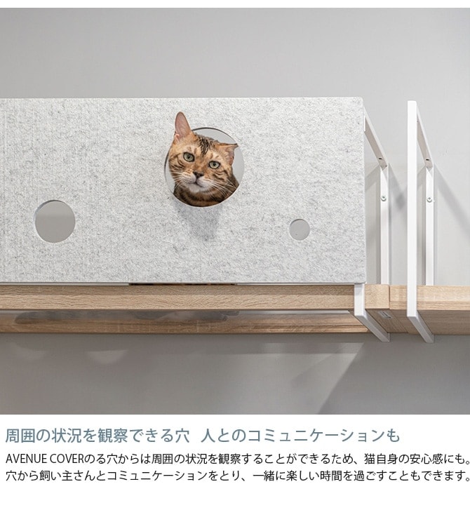 MYZOO �ޥ����� AVENUE ���С� L