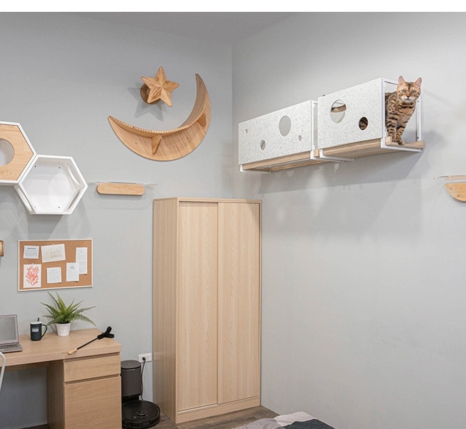 MYZOO �ޥ����� AVENUE ���С� L