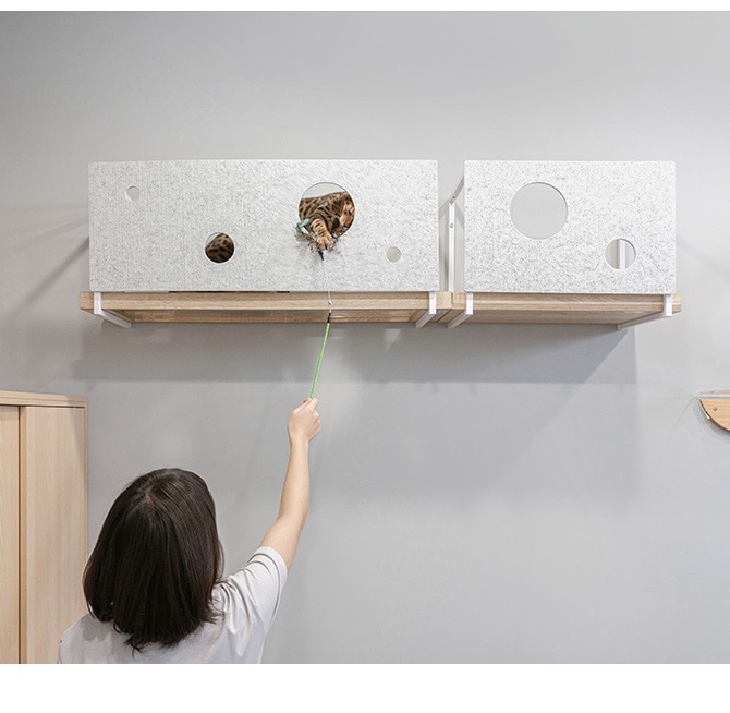 MYZOO �ޥ����� AVENUE ���С� L