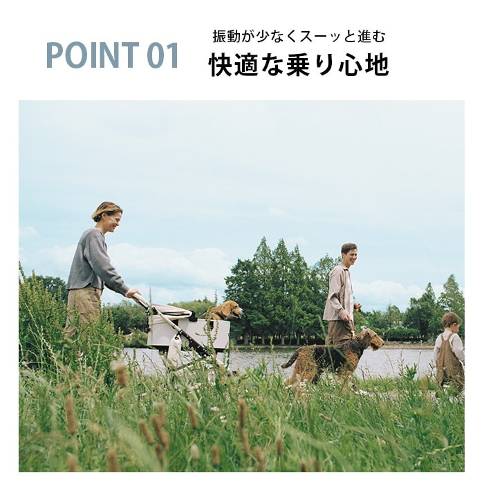 AIRBUGGY �����Х��� DOME3 PREMIER���ɡ���3 �ץ�ߥ� ���롼���饤�� �顼�����å�