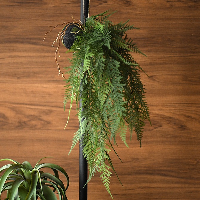 1_000000006590.jpg?1678209906