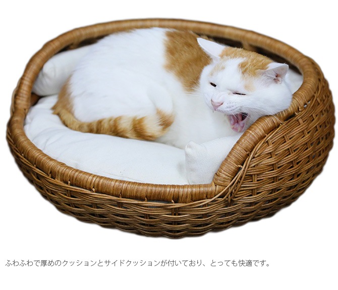 N4-style �饿��ܥ���٥å�