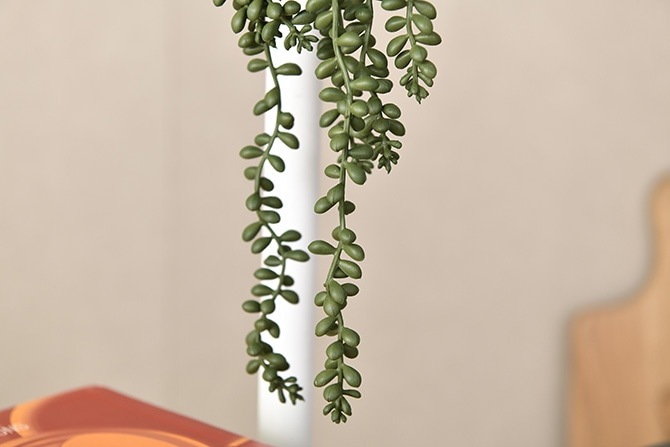 Brown. �֥饦�� �ե��������꡼�� ���꡼��ͥå��쥹 �ϥ󥮥󥰥ܡ��� 57