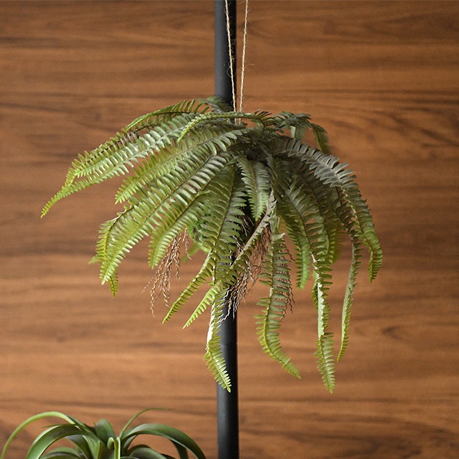 Brown. �֥饦�� �ե��������꡼�� �ܥ��ȥ�ե����� �ϥ󥮥󥰥ܡ��� 30