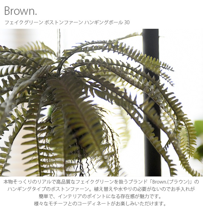 Brown. �֥饦�� �ե��������꡼�� �ܥ��ȥ�ե����� �ϥ󥮥󥰥ܡ��� 30
