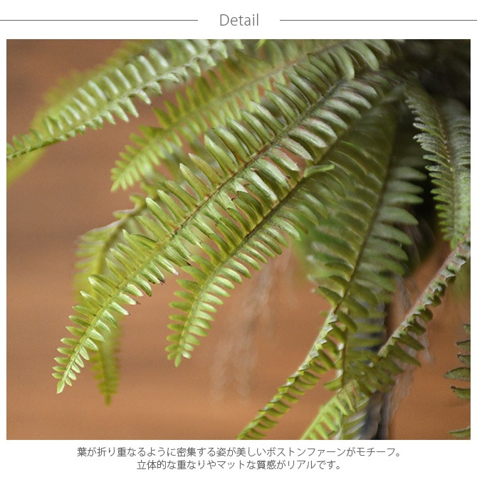 Brown. �֥饦�� �ե��������꡼�� �ܥ��ȥ�ե����� �ϥ󥮥󥰥ܡ��� 30