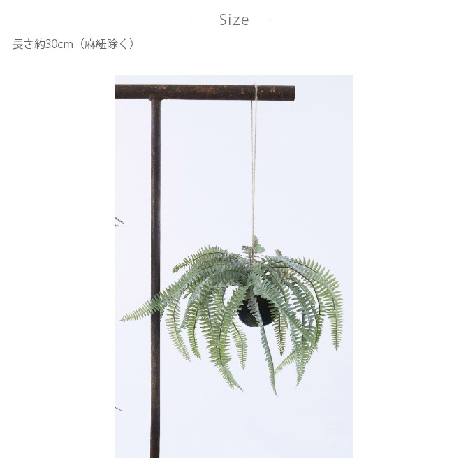 Brown. �֥饦�� �ե��������꡼�� �ܥ��ȥ�ե����� �ϥ󥮥󥰥ܡ��� 30