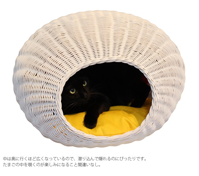 N4-style �饿�󥨥å��ϥ���