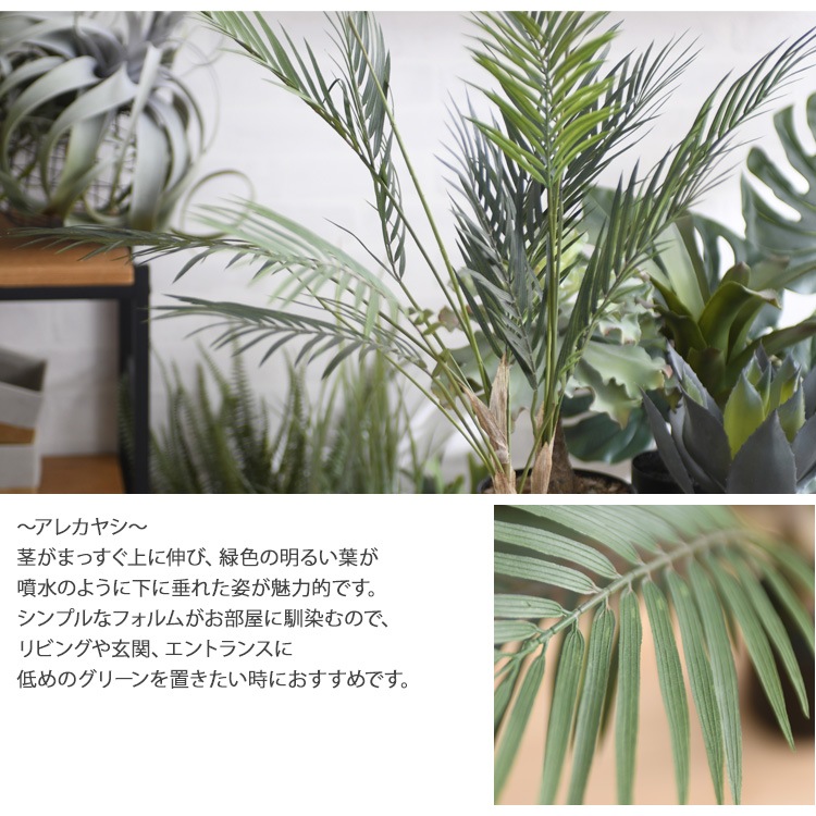 Brown. �֥饦�� ���쥫�䥷 �ݥå� 70