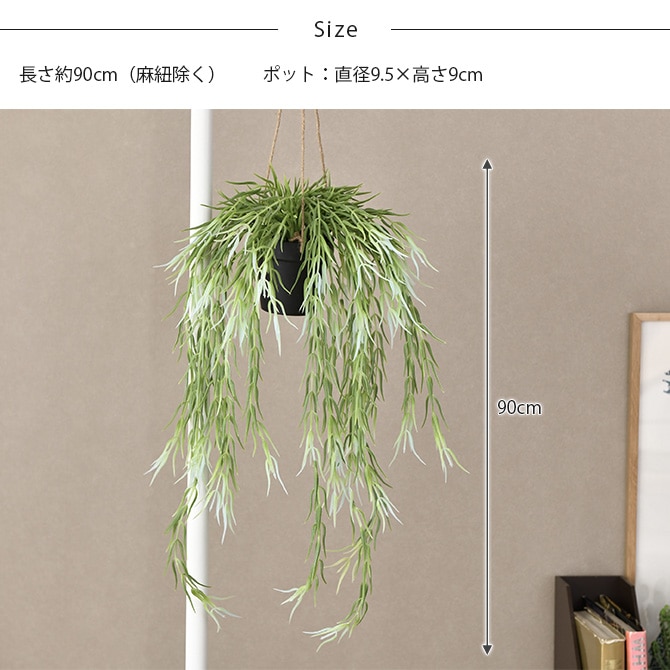 Brown. �֥饦�� �ե��������꡼�� ��ץ��ꥹ FL �ϥ󥮥󥰥ݥå�