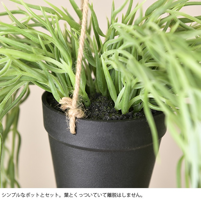 Brown. �֥饦�� �ե��������꡼�� ��ץ��ꥹ FL �ϥ󥮥󥰥ݥå�