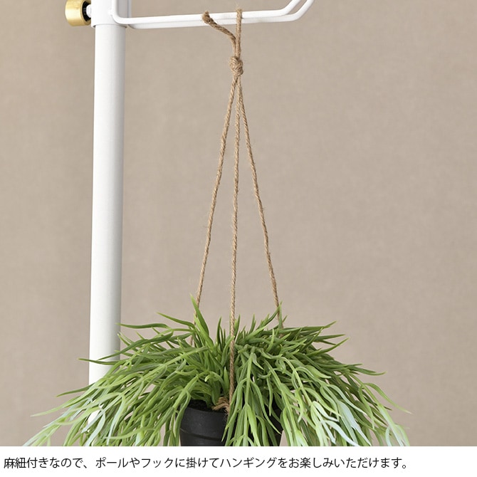 Brown. �֥饦�� �ե��������꡼�� ��ץ��ꥹ FL �ϥ󥮥󥰥ݥå�