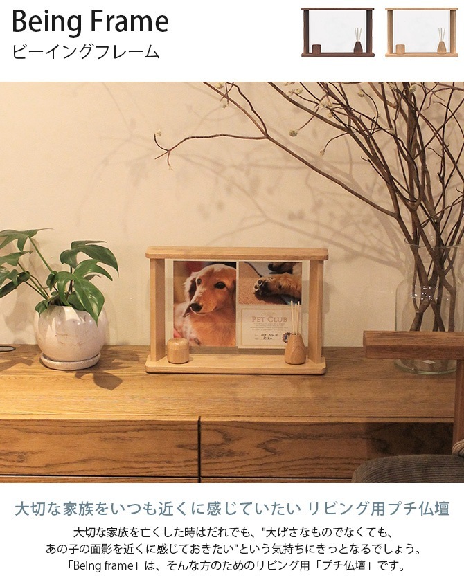 Being Frame���ӡ����󥰥ե졼��