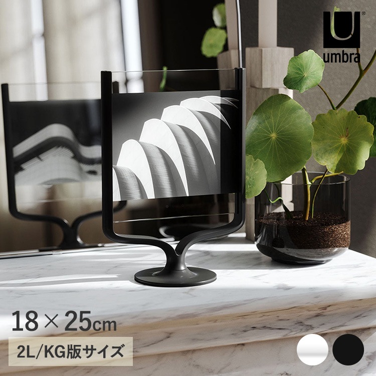 Umbra ֥ åܡ եȥǥץ쥤