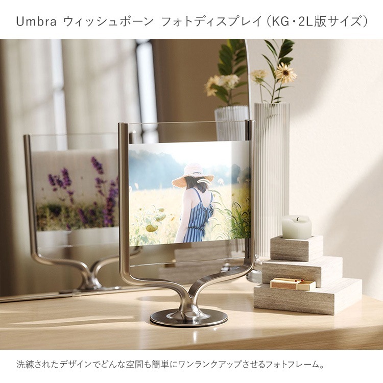 Umbra ֥ åܡ եȥǥץ쥤