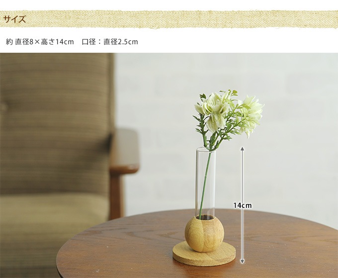 ���饹���ӡ����饹�ȥ��åɡ���������ͻ�硡�� �ե��١����¥����/�ץ�󥿡�/�������/����/���ե�/����ƥꥢ/�䤵����/���襤��/���ꥢ���饹/