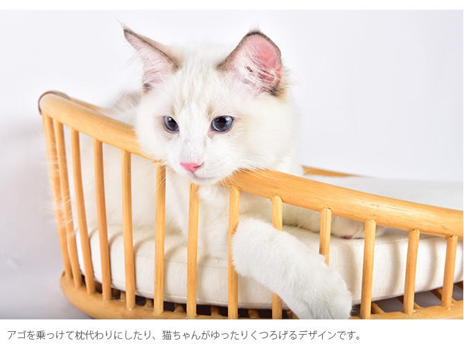 N4-style �饿��ơ��ѡ��ɥ٥å�