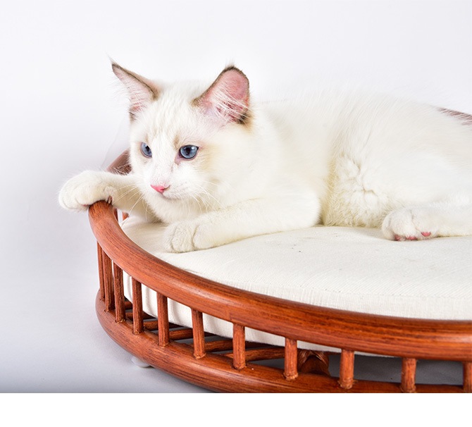 N4-style �饿��ơ��ѡ��ɥ٥å�