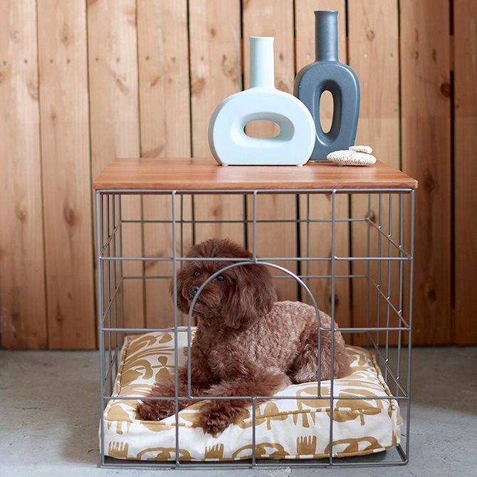 Horn Please �ۡ��� �ץ꡼�� PORCELAIN �ե��١��� ���ȥ� �ȡ���