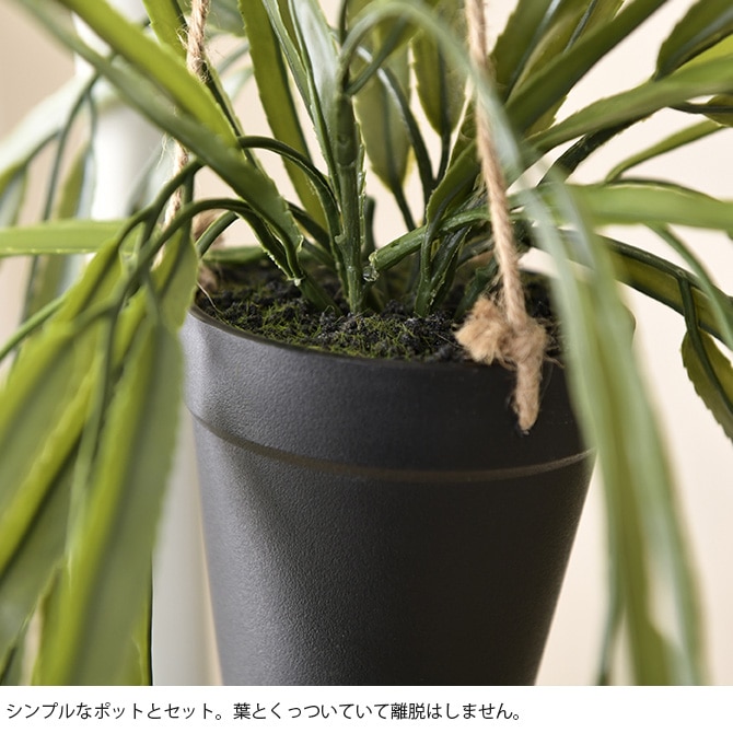 Brown. �֥饦�� �ե��������꡼�� ��ץ��ꥹ BL �ϥ󥮥󥰥ݥå�