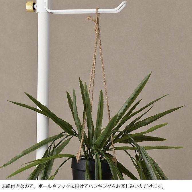 Brown. �֥饦�� �ե��������꡼�� ��ץ��ꥹ BL �ϥ󥮥󥰥ݥå�