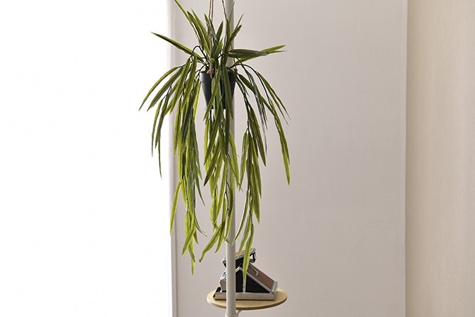 Brown. �֥饦�� �ե��������꡼�� ��ץ��ꥹ BL �ϥ󥮥󥰥ݥå�