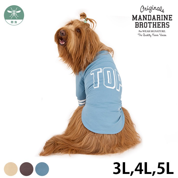 MANDARINE BROTHERS �ޥ�����֥饶���� ���󥰥��꡼�� T����ġ�3L��4L��5L