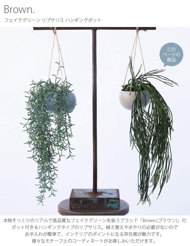 Brown. �֥饦�� �ե��������꡼�� ��ץ��ꥹ �ϥ󥮥󥰥ݥå�