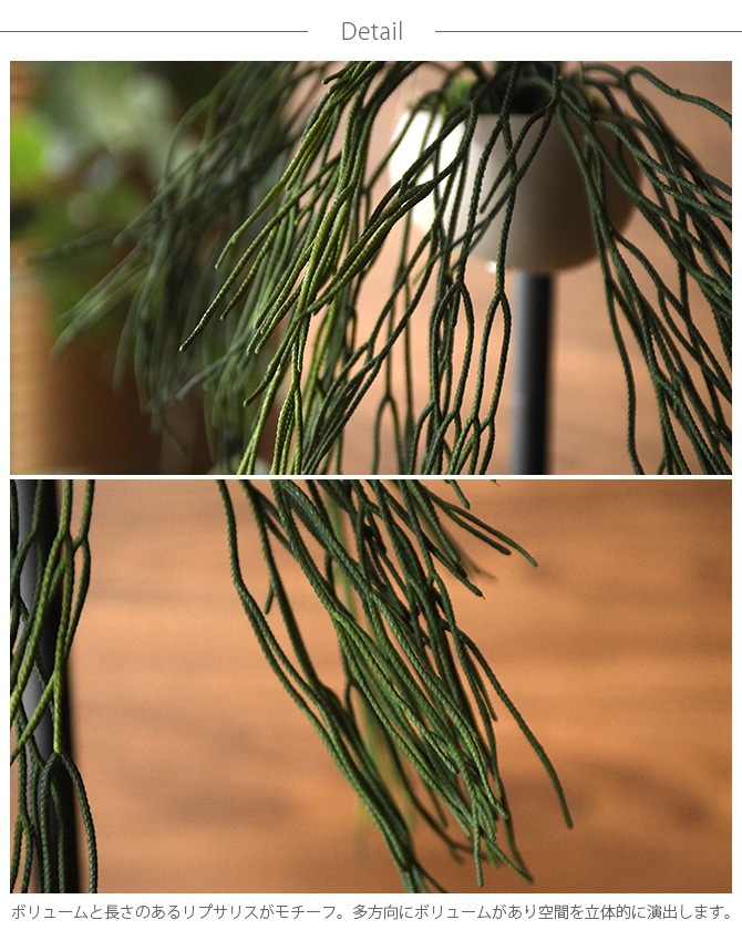 Brown. �֥饦�� �ե��������꡼�� ��ץ��ꥹ �ϥ󥮥󥰥ݥå�