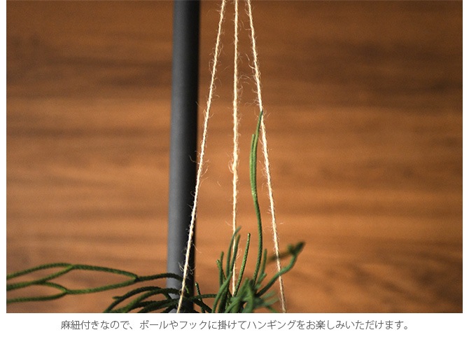 Brown. �֥饦�� �ե��������꡼�� ��ץ��ꥹ �ϥ󥮥󥰥ݥå�