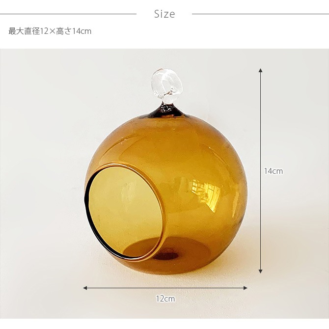 Horn Please ۡ ץ꡼ GLASS 顼ɡ ܡ L