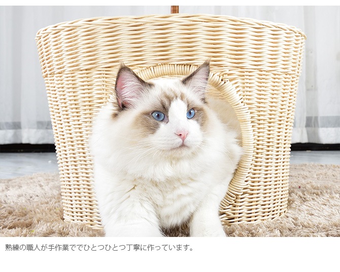 N4-style �饿�󥭥�åĥݥå�