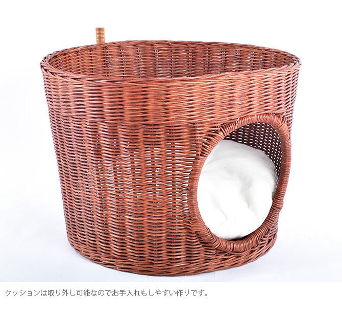 N4-style �饿�󥭥�åĥݥå�