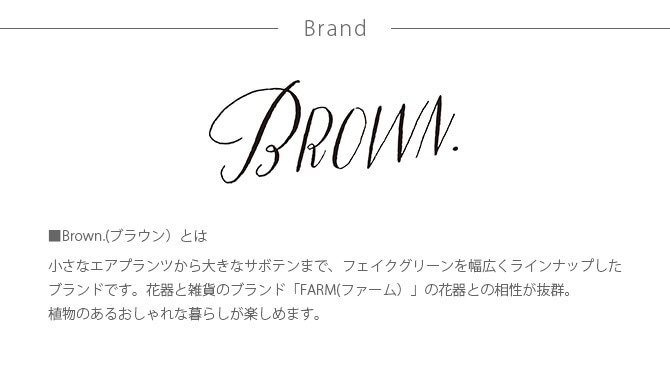 Brown. �֥饦�� �ե��������꡼�� ���꡼��ͥå��쥹 ����