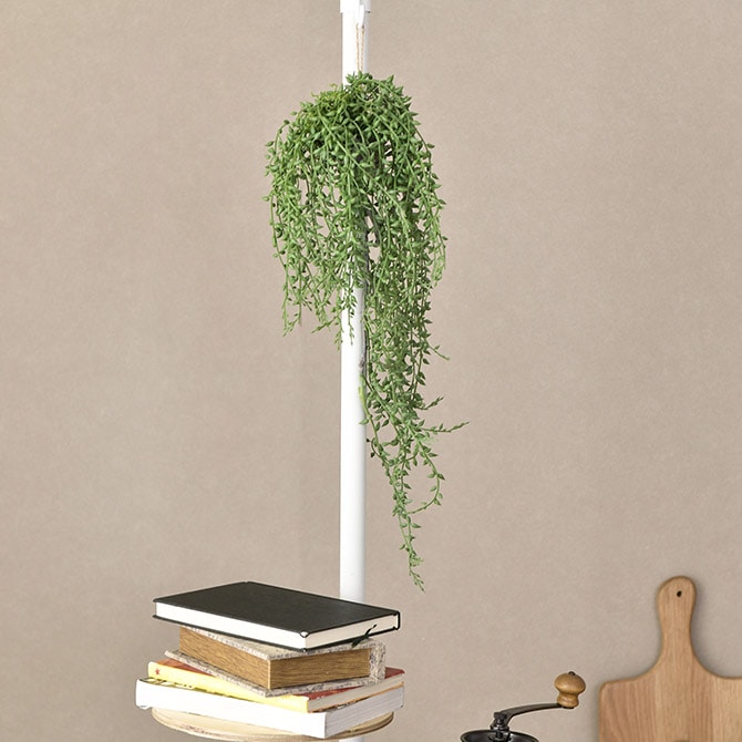 1_000000011294.jpg?1706837145