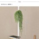 Brown. �֥饦�� �ե��������꡼�� ���꡼��ͥå��쥹 ����