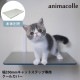 animacolle ���˥ޥ��� �����륫�С� ����åȥ��ƥå����ѡ�NKC-CC-CS