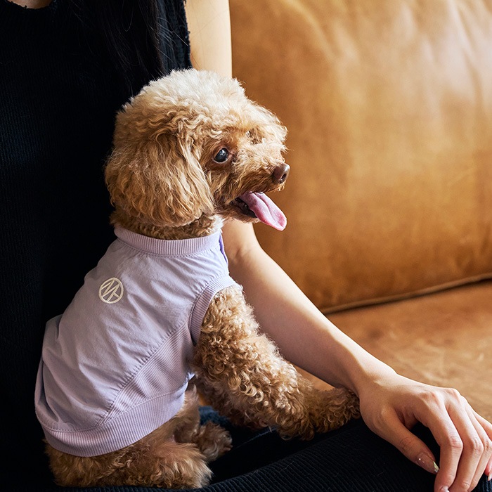 MANDARINE BROTHERS �ޥ�����֥饶���� �ԥ��� XS��S