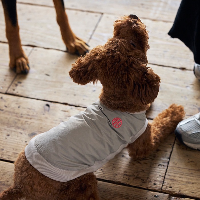 MANDARINE BROTHERS �ޥ�����֥饶���� �ԥ��� XS��S