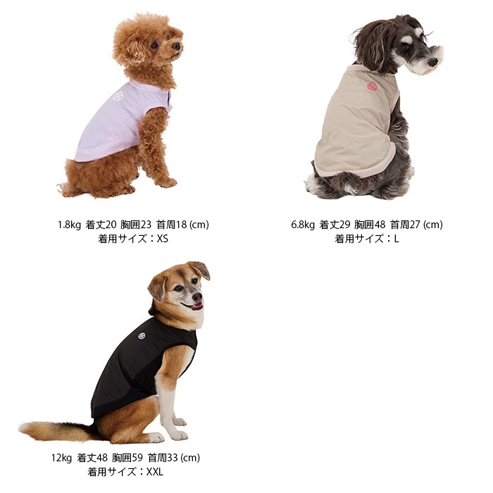 MANDARINE BROTHERS �ޥ�����֥饶���� �ԥ��� XS��S