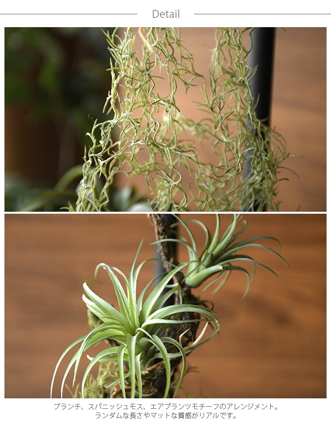 Brown. �֥饦�� �ե��������꡼�� ����󥸥��� ���� 64