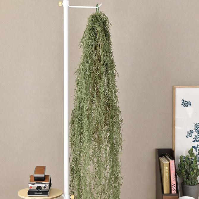 1_000000011295.jpg?1706837156