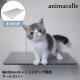 animacolle ���˥ޥ��� �����륫�С� �磻�ɥ��ƥå����ѡ�NKC-CC-WS