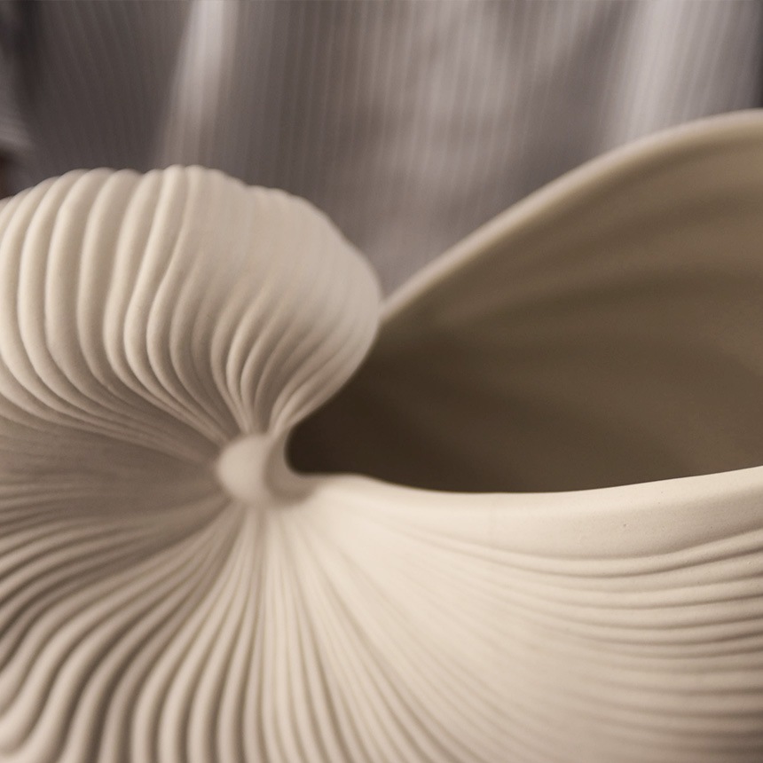 ferm LIVING �ե������ӥ� ������ݥå� Shell Pot  �̲� �͵� ���֥��� ��ʪ ���� ����ƥꥢ ���� �ǥ�ޡ��� �������� �ץ쥼��� ���ե� �̲����� �����६�� �� �ǥ����� ���� ����ƥꥢ����
