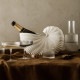 ferm LIVING �ե������ӥ� ������ݥå� Shell Pot  �̲� �͵� ���֥��� ��ʪ ���� ����ƥꥢ ���� �ǥ�ޡ��� �������� �ץ쥼��� ���ե� �̲����� �����६�� �� �ǥ����� ���� ����ƥꥢ����