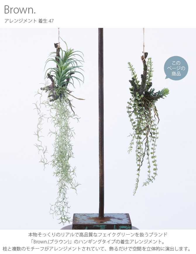 Brown. �֥饦�� ����󥸥��� ���� 47