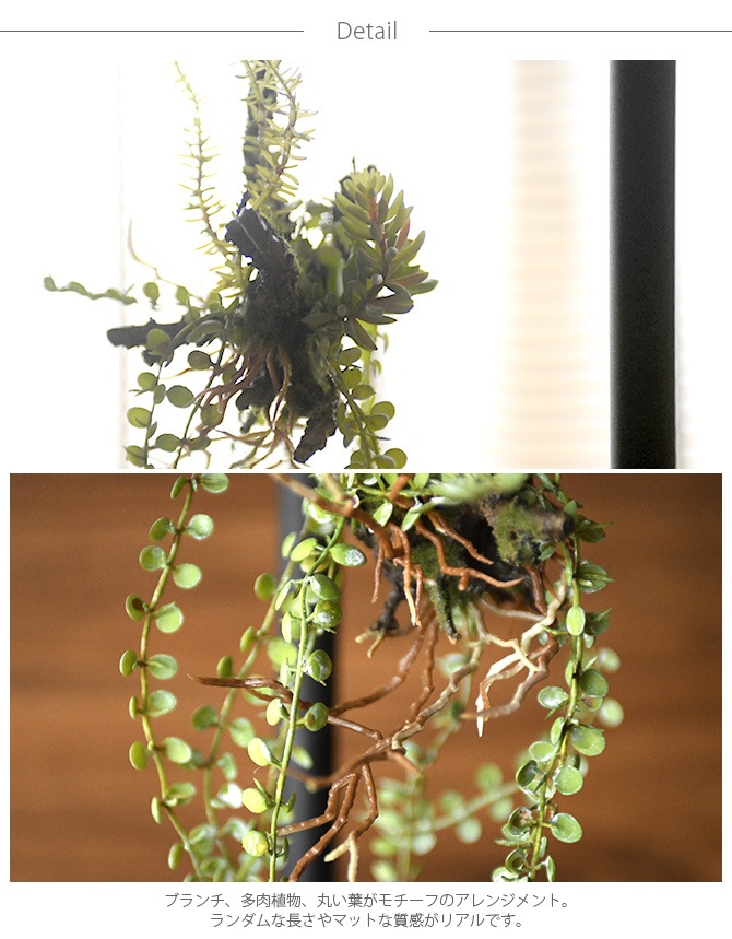 Brown. �֥饦�� ����󥸥��� ���� 47