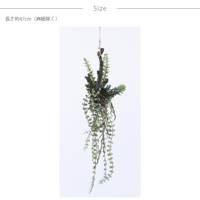 Brown. �֥饦�� ����󥸥��� ���� 47