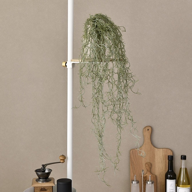 Brown. �֥饦�� �ե��������꡼�� ���ѥ˥å���⥹ �ϥ󥮥󥰥֥å��� ����С�