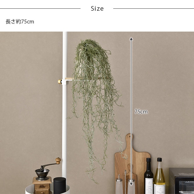 Brown. �֥饦�� �ե��������꡼�� ���ѥ˥å���⥹ �ϥ󥮥󥰥֥å��� ����С�